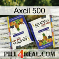 Axcil 500 12